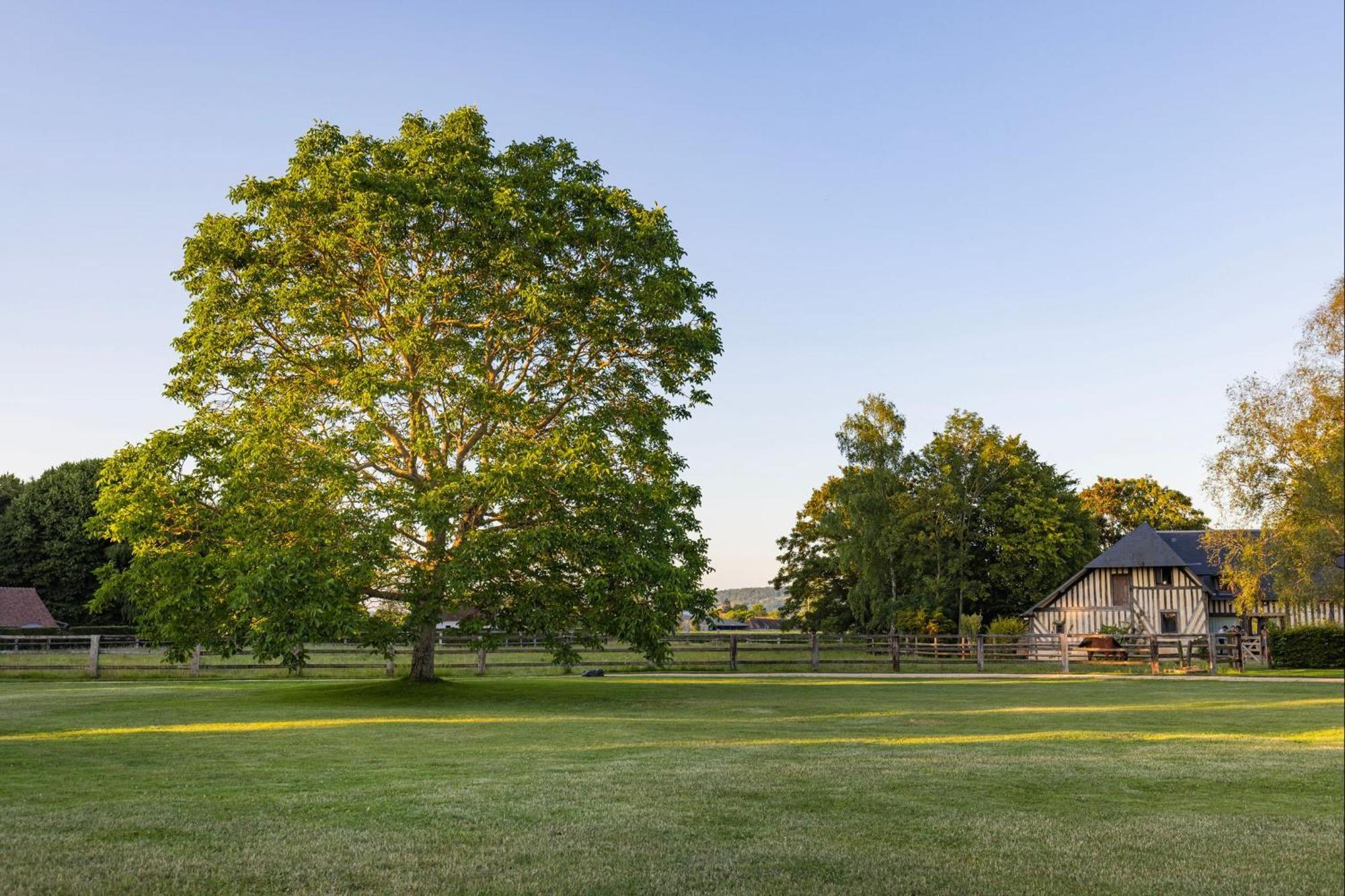 Villa Bagatelle avec jardin et piscine chauffée à Bieville-en-Auge Extérieur photo